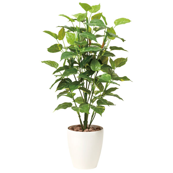 光触媒 観葉植物 人工植物 フェイクグリーン アートグリーン 造花 グリーン 人工観葉植物 抗菌 オフィス ナチュラル ディスプレイ 玄関 カフェ 消臭 インテリア お祝い おしゃれ 贈り物 店舗 リビング ダイニング プレゼント 引っ越し祝い 新築祝い ポトス|atom DIY
