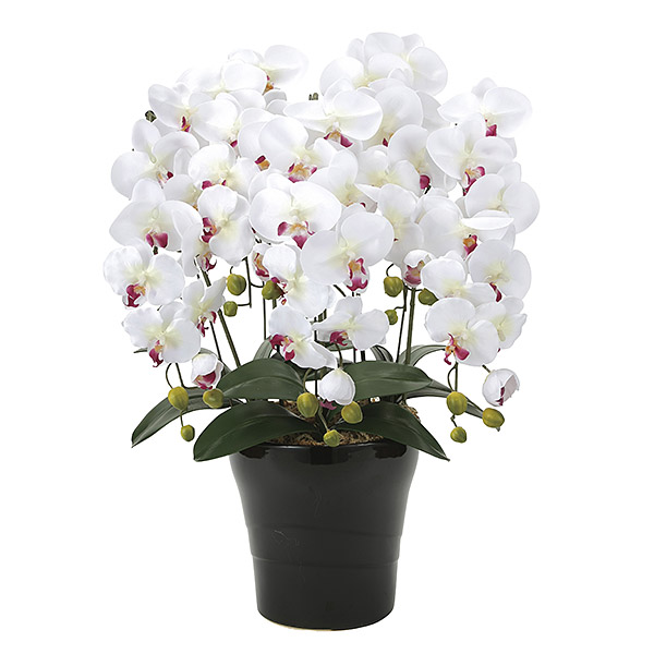 胡蝶蘭 光触媒 インテリア 人工観葉植物 造花 ギフト 胡蝶蘭5本立 アートフラワー ホワイト|atom DIY