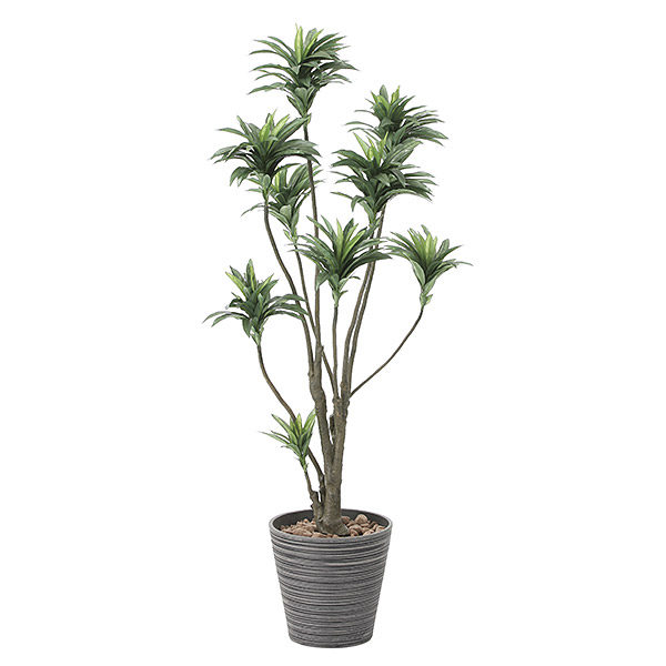 おしゃれ 観葉植物 高さ150cm Atom 人工観葉植物 人工観葉植物 観葉植物 植物 光触媒 人工観葉植物 グリーン ドラセナ フェイクグリーン インテリア Diy 光触媒 グリーン インテリア 光触媒 おしゃれ 観葉植物 高さ150cm Atom 人工観葉植物 人工観葉植物 観葉植物 植物 光触媒 人工観葉植物 グリーン ドラセナ フェイクグリーン インテリア Diy 光触媒 グリーン インテリア 光触媒