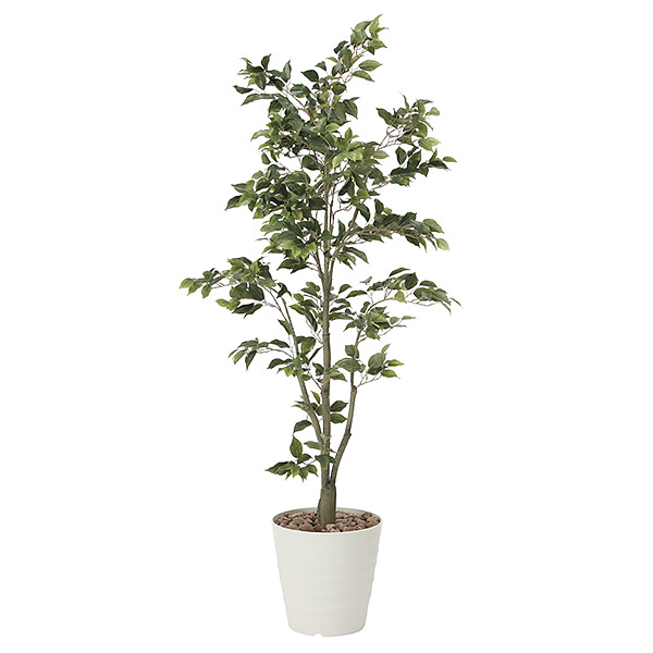 インテリア 人工観葉植物 フェイクグリーン 高さ180cm Atom 光触媒 おしゃれ 観葉植物 人工観葉植物 インテリア 植物 植物 フィカスツリー 光触媒 おしゃれ 観葉植物 グリーン Diy 人工観葉植物 インテリア 人工観葉植物 フェイクグリーン 高さ180cm Atom 光触媒 おしゃれ 観葉植物 人工観葉植物 インテリア 植物 植物 フィカスツリー 光触媒 おしゃれ 観葉植物 グリーン Diy 人工観葉植物