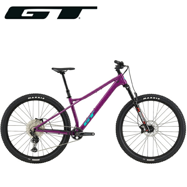 GT ZASKAR LT PRO ザスカー LT 合金 労働者階級 29in ラズベリー マウンテンバイク 自転車・サイクリング-マウンテンバイク