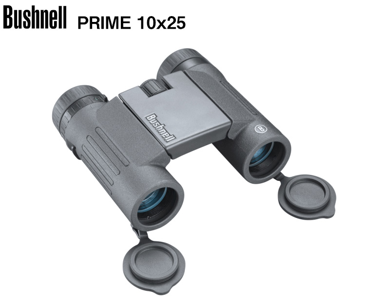 訳あり】 Bushnell ニトロ 10×36 BN1036G mihintalava.lakehouse.lk