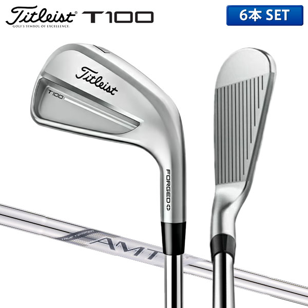 楽天市場】タイトリスト T150 アイアンセット 6本組(5-P) N.S.PRO