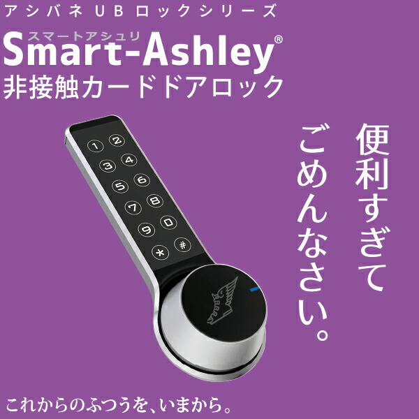 スマートアシュリ 1鍵を掛ける仕掛ける (後付・独居室式かっこ良い鍵を掛ける)
