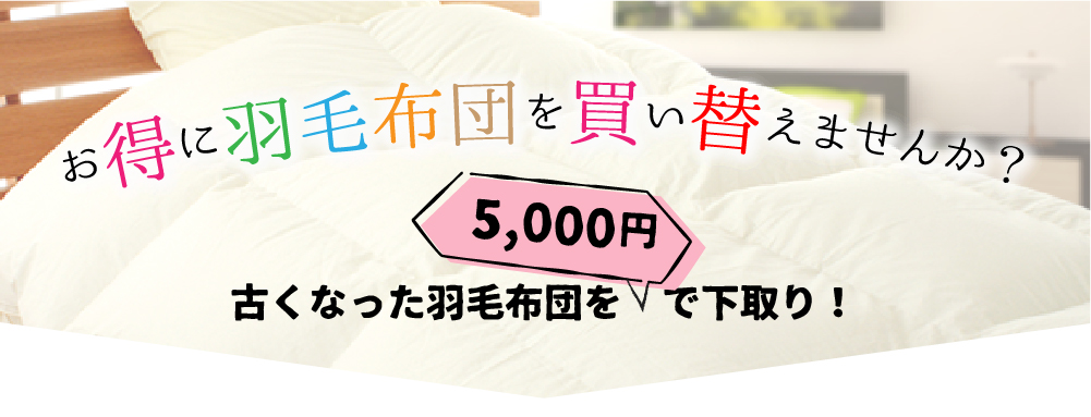 羽毛布団 下取り お得に 買い替え 立体キルト 日本製 TTC ポーランド産