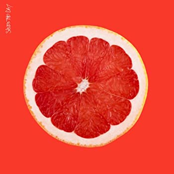 【中古】【39shop】【輸入品・未使用】Saves★the Day [Analog]（新古品）｜アトリエ絵利奈
