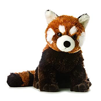 【中古】【インポート品・未当て嵌める】LESSER PANDA