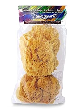 【中古】【39shop】【輸入品・未使用】天然海用スポンジ★アーティスト用 - 無漂白 5～5.5インチ 2個 バリューパック : ペイント装飾 テクスチャリング スポンジ マーブル効果 フェイク（新古品）｜アトリエ絵利奈