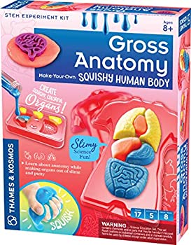 【中古】【インポート品・未当て嵌める】Thames \u0026 Kosmos Gross Anatomy:自分自身で作るスクイッシー有待STEM試験一揃いの道具|スライムとパティーで多彩な万物の霊長の臓器を作ろう| 万物の霊長生体解剖学への楽し 知育玩具・学習玩具-おもちゃ