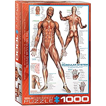 【中古】【39shop】【輸入品・未使用】ジグソーパズル★1000ピース ユーログラフィックス 筋肉系 6000-2015(新古品)|アトリエ絵利奈