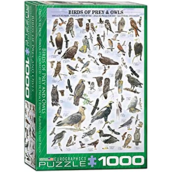【中古】【輸入品・未使用】ジグソーパズル 1000ピース ユーログラフィックス 猛禽とフクロウ 6000-0316