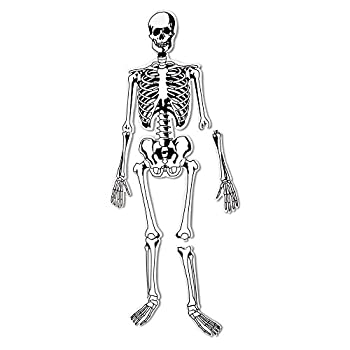 【中古】【インポート品・未当て嵌める】Skeleton Floor Puzzle
