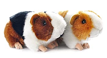 【中古】【39shop】【輸入品・未使用】かわいいモルモットのぬいぐるみ★ソフトぬいぐるみ 7インチ (2個)（新古品）｜アトリエ絵利奈