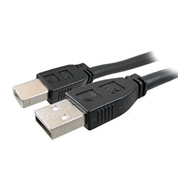 【中古】【インポート品・未当て嵌める】含み的な有線テレビ25 \u0027Pro AV/IT積極的USB A牡からB牡（USB2-AB-25PROA）