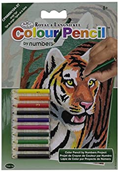 【中古】【輸入品・未使用】番号キット 5\