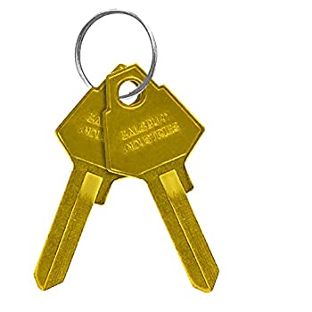 【中古】【39shop】【輸入品・未使用】Salsbury★Industries 2299 Key Blanks for Standard Locks of Aluminum Mailboxes (Box of 50) by Salsbury Industries（新古品）｜アトリエ絵利奈