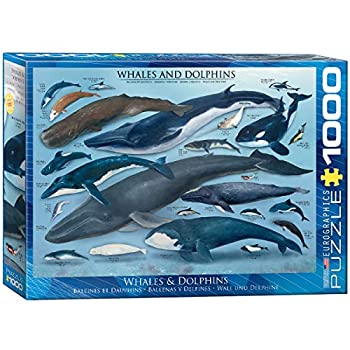 【中古】【39shop】【輸入品・未使用】1000ピース★ジグソーパズル ユーログラフィックス クジラとイルカ 6000-0082（新古品）｜アトリエ絵利奈