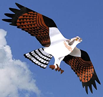 【中古】【39shop】【輸入品・未使用】Jackite★Osprey Kite(新古品)|アトリエ絵利奈