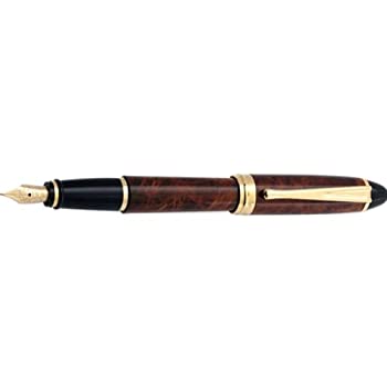 【中古】【インポート品・未当て嵌める】Aurora イプシロン タートル漆 筆 italics