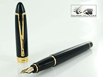 【中古】【インポート品・未当て嵌める】Aurora Ipsilon Deluxe黒いこと筆14?K書き込み先M