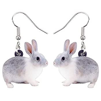 超大特価 中古 輸入品 未使用未開封 Bonsny アクリル ドロップ ダングル イースター バニー ウサギ イヤリング ジュエリー レディース ガールズ キッズ ギフト チャーム グレー アトリエ絵利奈 最新コレックション Erieshoresag Org
