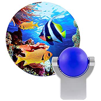 【中古】【輸入品・未使用】PROJECT FISH NITE LITE