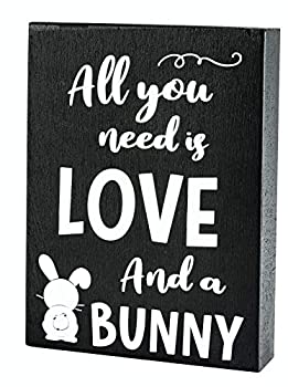 【中古】【輸入品・未使用】jennygems木製サインAll You Need Is Love。。。and a bunny