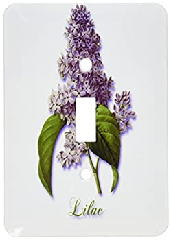 【中古】【輸入品・未使用】3drose LSP _ 171228?_ 1ライラック、植物の印刷AラベンダーSpring Blooming Fragrantフラワーライトスイッチカバー