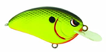 【中古】【インポート品・未当てはめる】(Chartreuse Black Back) - Spro Little John Crank Bait-Pack of 1 Chartreuse Black Back