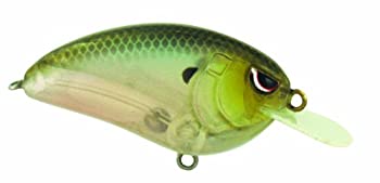 【中古】【輸入品・未使用】SPRO リトルジョン SPOOKY SHAD