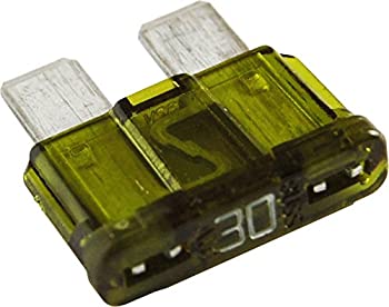 【中古】【輸入品・未使用】Fuse ATC/ATO Blade (Auto) 30A 2Pk