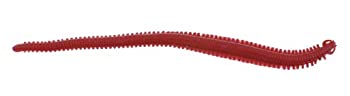 【中古】【輸入品・未使用】LEURRE SOUPLE BERKLEY GULP! ALIVE! SANDWORM 6'' Modele: BLOODY