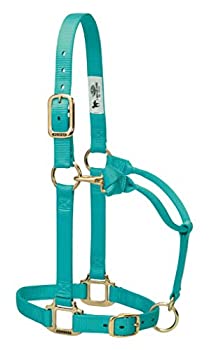 【中古】【輸入品・未使用】(2.5cm Small Horse Mint) - Weaver Leather Adjustable Horse Halter