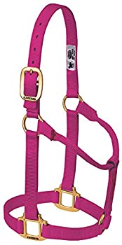 【中古】【輸入品・未使用】(Average Horse Raspberry) - Weaver Leather Original Non-Adjustable Weanling/Pony Halter 12,008円