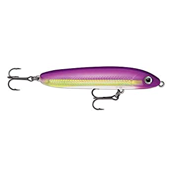 【中古】【輸入品・未使用】Rapala釣りルアー???skv10hpr???Skitter V 10???ホットパープル