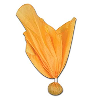 【中古】【39shop】【輸入品・未使用】ボールとシャンプロフラッグ（イエロー/ゴールド）（新古品）｜アトリエ絵利奈