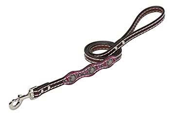 【中古】【インポート品・未当てはめる】Weaver Leather ヴィンテージ ペイズリー リーシュ 3/4\