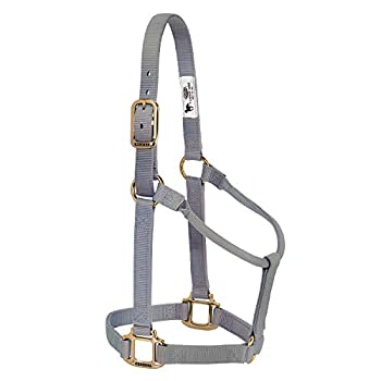 【中古】【インポート品・未当てはめる】事あたらしい 合わせる不可 ホルター 押しならす1in 馬 黒鉛