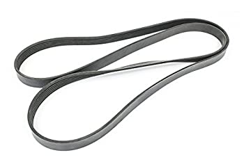 【中古】【輸入品・未使用】サーペンタインベルト。