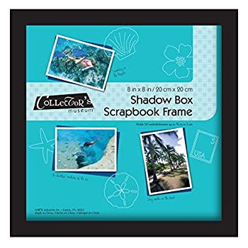 【中古】【輸入品・未使用】Shadow Box Frame 8\