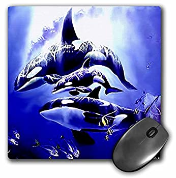 【中古】【39shop】【輸入品・未使用】3Dローズ★鯨 ‐ シャチ - マウス パッド - マウスパッド - mp_310_1 (並行輸入)(新古品)|アトリエ絵利奈