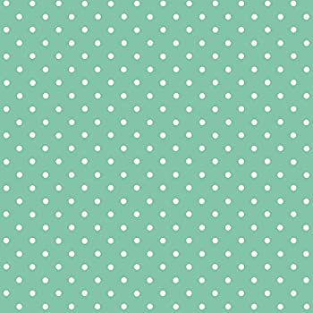 【中古】【輸入品・未使用】d-c-fix? Like-Contact (self adhesive vinyl film) Peterson Polka Dot Mint (Large) 45cm x 2m 346-0648 by Konrad Hornschuch AG [並行輸入品