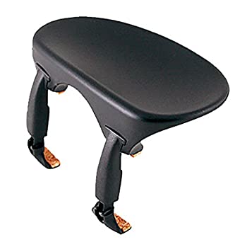 【中古】【39shop】【輸入品・未使用】Wittner★Composite 4/4 Violin Chinrest - Center Mount - Hypoallergenic by Wittner（新古品）｜アトリエ絵利奈 11,534円