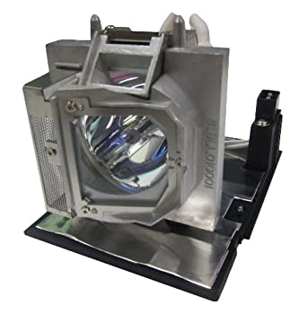 【中古】【輸入品・未使用】Optoma SP.8LL01GC01 projection lamp