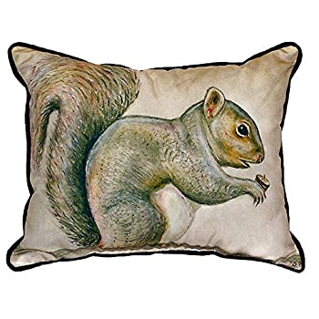 【中古】【インポート品・未当て嵌める】Betsy Drake 錫314?Squirrel Smallインドア/アウトドア枕、、11?\" x14?\"""