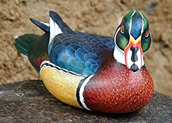 【中古】【輸入品・未使用】NOVICA 98482インチ キャロライナダック 木製像