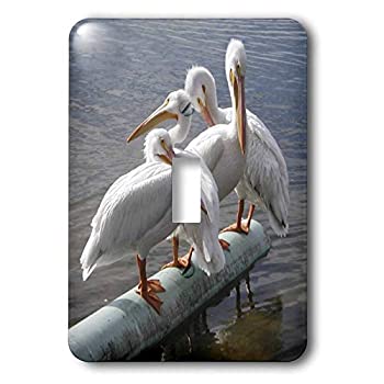 【中古】【輸入品・未使用】3drose LLC lsp _ 19136?_ 1?Great White Pelicans???Single切り替えスイッチ
