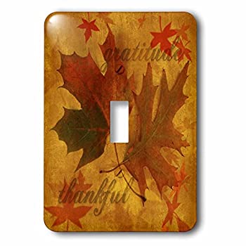 【中古】【輸入品・未使用】3drose LSP _ 52315?_ 1?Autumn Leaves with Gratitude Single切り替えスイッチ