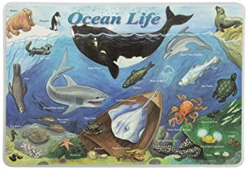 【中古】【輸入品・未使用】Painless Learning Ocean Life Placemat by Painless Learning