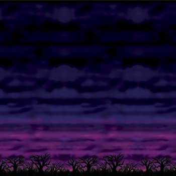 【中古】【輸入品・未使用】Beistle Spooky Sky Backdrop、4-feet by 30-feet
